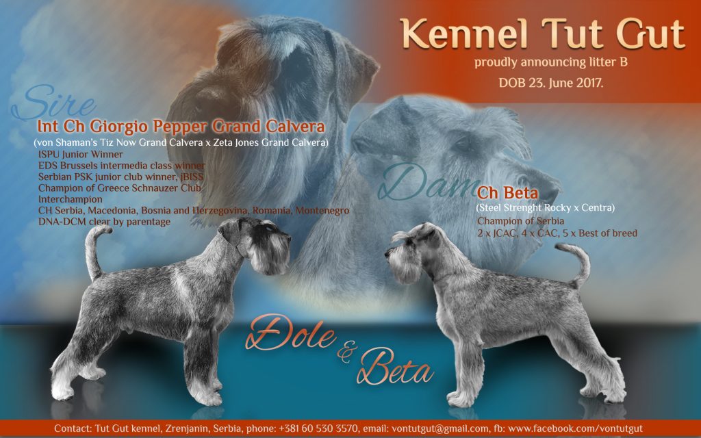 Kennel Von Tut Gut B litters