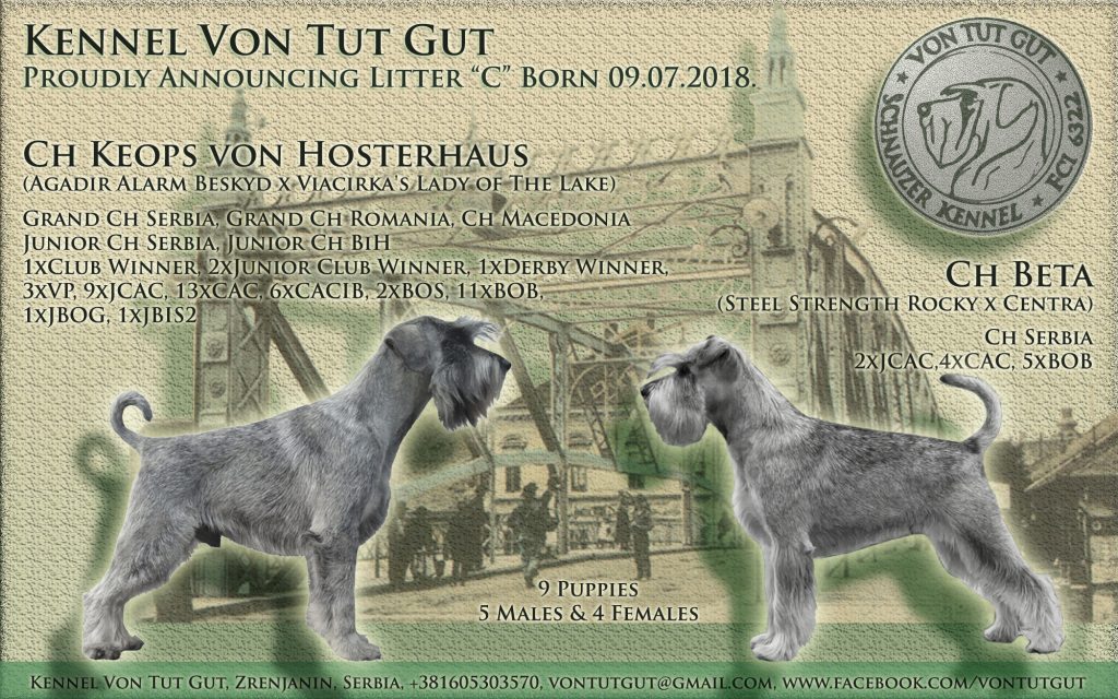 Kennel Von Tut Gut C litters