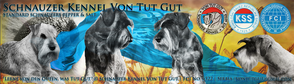  Kennel Von Tut Gut